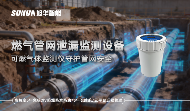 可燃气体监测仪