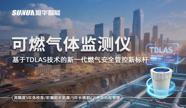 可燃气体监测仪